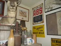 IMGP9230.webp