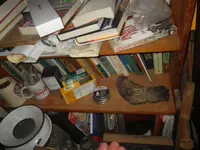 IMGP9237.webp
