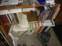 IMGP9238.webp