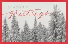 Scan_20211217.webp