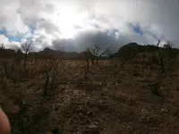GOPR0113.webp