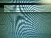 IMGP9257.webp