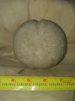 20211221_235623.webp