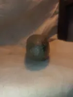 20211222_155414.webp