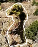 Screenshot_20211223-202512_Gallery.webp