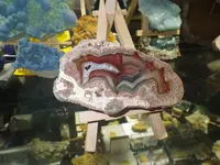 IMGP6086.webp