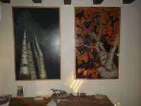 IMGP8950.webp
