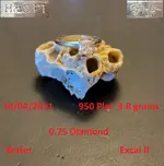 DocBeav 2021 Platinum Ring #2.webp