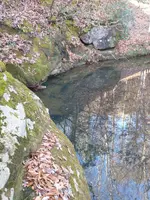 IMG_20211227_100415118.webp