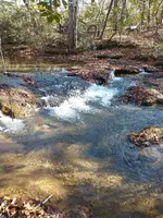 IMG_20211227_101022781.webp