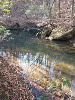 IMG_20211227_101528828.webp