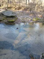IMG_20211227_102313072.webp
