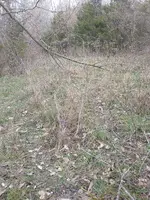 IMG_20211226_150243193-1728x2304.webp