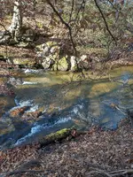 IMG_20211227_101952745_HDR.webp