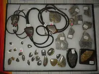 IMGP8665.webp