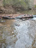 IMG_20211229_135522508.webp