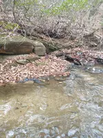 IMG_20211229_135528138.webp