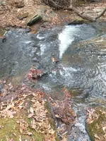 IMG_20211229_135627178.webp