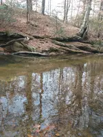 IMG_20211229_135846863.webp