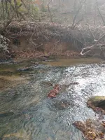 IMG_20211229_135710587.webp