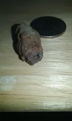 20180922_182530.jpg