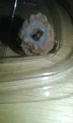 20180922_182551.jpg