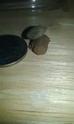 20180922_182641.jpg