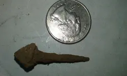 20180922_175542.jpg