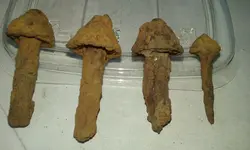 20180922_175756.jpg