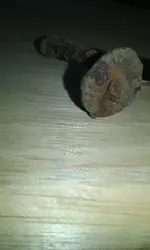 20180922_182010.jpg