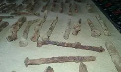 20190211_150229.jpg
