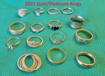 2021 Gold and Platinum Rings.jpg