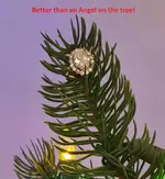 2021 Better than an angel.webp
