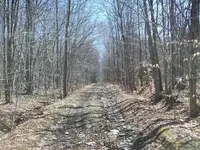 100_3630.webp