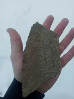 20211230_154951.webp