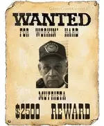 wantedposter.webp