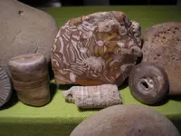 fossils 006.webp