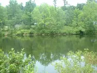Picture_097.webp
