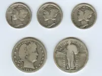 Silver heads 2.webp