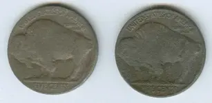 Buffalo tails.webp