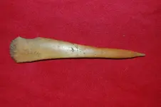 Feurt Site Finds (181).webp