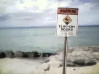 Slippy.webp
