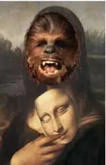 MonaWookie copy.webp
