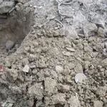 barber in dirt.webp