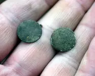 button pair.webp
