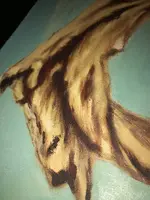 A804F424-C470-4864-9B26-FD6B5534AFAE.webp