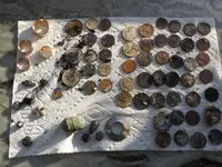 Day 1 finds.webp