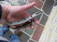 DSCN5406.webp