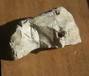1426727523_birdscraper11.webp