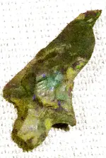 Arkie_finds_1a-vert.webp